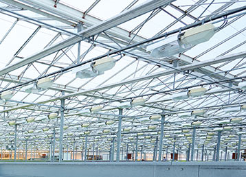 Suministro de hierros para la construcción de invernaderos